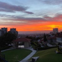 Ricardo Niño (@patoninol) 's Twitter Profile