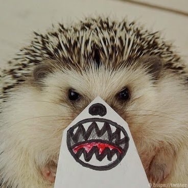 vveter_r's profile picture. 