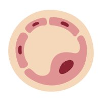 Endothelial Cell News (@endothelialnews) 's Twitter Profile Photo Endothelial Cell News (@endothelialnews) 's Twitter Profile Photo