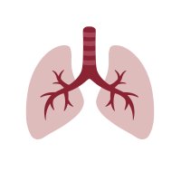 Pulmonary Cell News(@pulmonary_news) 's Twitter Profile Photo