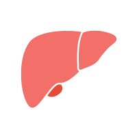 Hepatic Cell News(@hepaticcellnews) 's Twitter Profile Photo
