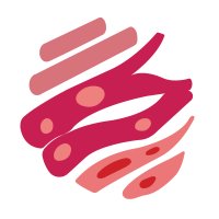 Muscle Cell News (@musclecellnews) 's Twitter Profile Photo Muscle Cell News (@musclecellnews) 's Twitter Profile Photo