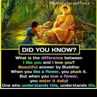 Kamalaker8's profile picture. 