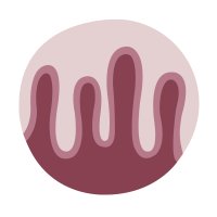Intestinal Cell News(@Intestinal_Cell) 's Twitter Profile Photo