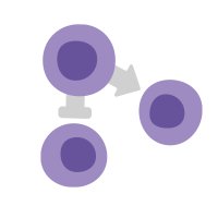 Immune Regulation News(@Immune_News) 's Twitter Profile Photo