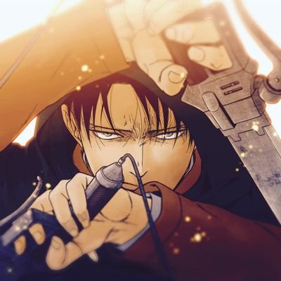 twitter levi