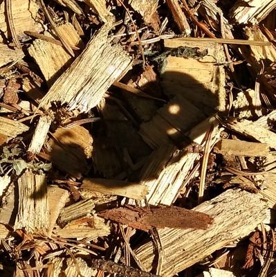 mamagirraffe's profile picture. Just a mom who gives a shit about other people and
trying to be a good fucking person.  Practicing Kitchen Witch. 
#VoteBlueToSaveDemocracy