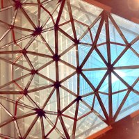 ことの (@ktn9901) 's Twitter Profile