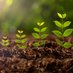 NanoGrowth | Liquid Biochar Technology (@nanogrowth) Twitter profile photo NanoGrowth | Liquid Biochar Technology (@nanogrowth) Twitter profile photo