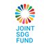 Joint SDG Fund 🇺🇳 (@JointSDGFund) Twitter profile photo