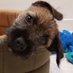 Sir HaggisBT (@haggisbt) Twitter profile photo Sir HaggisBT (@haggisbt) Twitter profile photo
