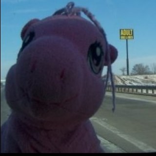 Jealou_thePony's profile picture. I'm a badass talking, doing and feeling pink pony