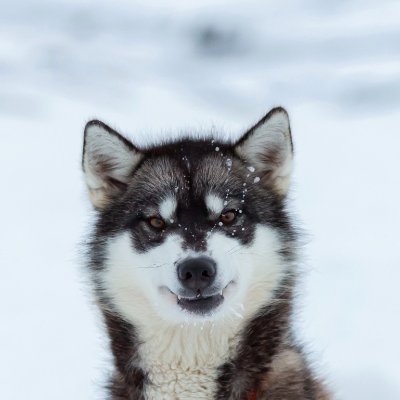 EventBased's profile picture. 