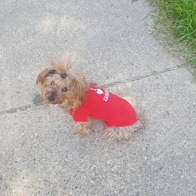 Twilla12462292's profile picture. Im a free spirit and fun loving kinda gal. I love the outdoors.