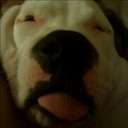 thomas malinowski - @malinowski213 - Twitter