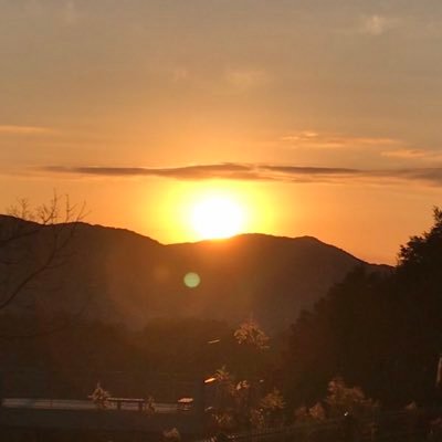 金烏さんのプロフィール画像