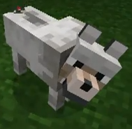 AltairianMC's profile picture. 