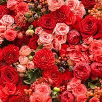 أَمِيره (@_ameerahsultan) 's Twitter Profile