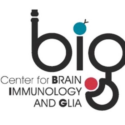 The Center for Brain Immunology and Glia (BIG) in the Department of Neuroscience at the University of Virginia.