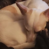 awkward-gay-mess (@nevermore1632) 's Twitter Profile