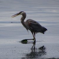 Shawna Link (@shawnadlink) 's Twitter Profile Photo Shawna Link (@shawnadlink) 's Twitter Profile Photo