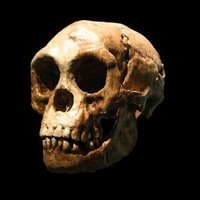 وتـر (@71il) 's Twitter Profile Photo