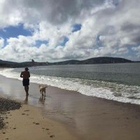 Pancho (@navarro1954) 's Twitter Profile