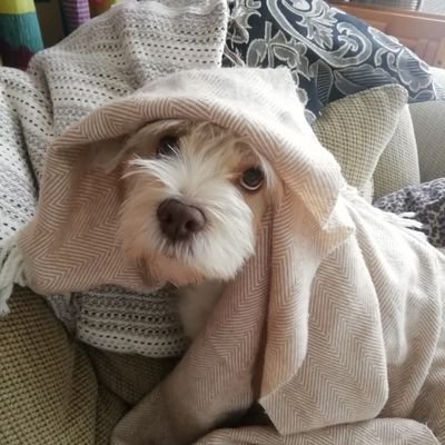 BeepBopBoop87's profile picture. -~-~e{eaN@  ☦🇨🇾🇬🇷🇿🇦☦