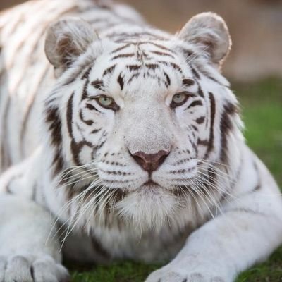 Dairoquintero91's profile picture. todo tiene su final