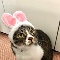 ユズヒコ@朋 (@yuzuhiko0425) 's Twitter Profile