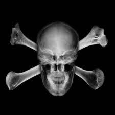 BXrayed's profile picture. 