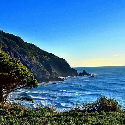 camara_seedou's profile picture. I am student