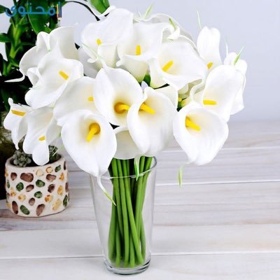 afnan244's profile picture. E-Learning Specialist