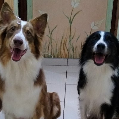 A cada instante não vivido me apego ao que só me tira a paz...