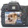 tanglewood16's profile picture. Australian photographer