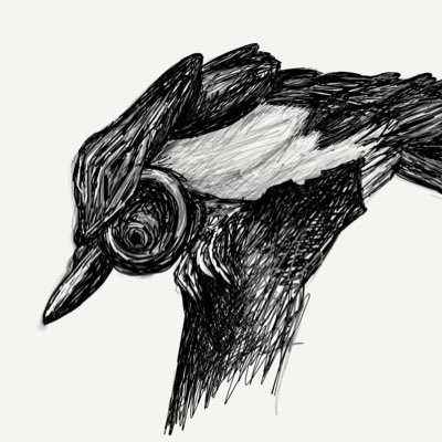 Like the lazy magpie who sat still and watched others at their work, but I chat a lot and then tell you about it.