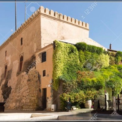 gladiatorLXIV's profile picture. 