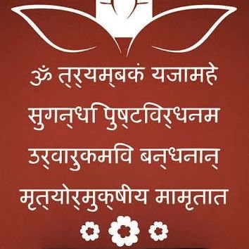 HarHarM02418433's profile picture. 