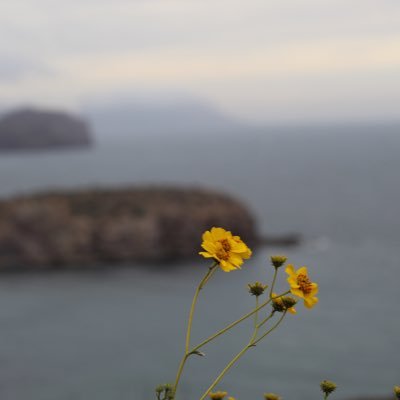 PPablogy's profile picture. 