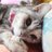春眠のアイコン
