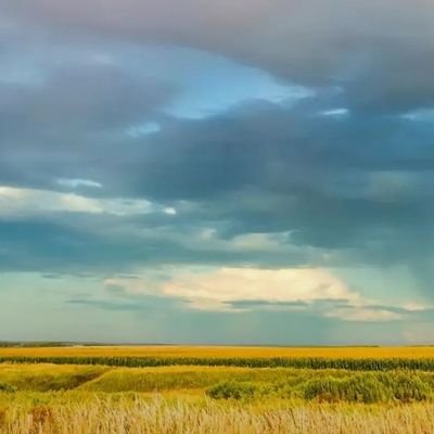 vetriselva10's profile picture. Reporter