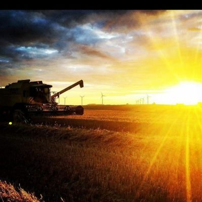 AnneRinchart's profile picture. 