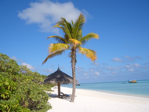 syodai2438's profile picture. 知らないおねえさんに乗っ取られた