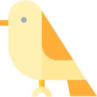 Guitar Magpie (@themagpiesalute) 's Twitter Profile