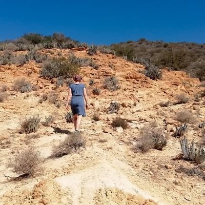 Sveamaedchen's profile picture. 🌿🌳🌊☀️