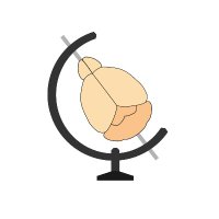 BrainGlobe (@brain_globe) 's Twitter Profile Photo BrainGlobe (@brain_globe) 's Twitter Profile Photo