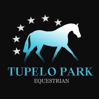 Harness Racing & Show stables. Rehoming of retired racehorses on behalf of owners & trainers, we are committed to providing horses with a secure future.
