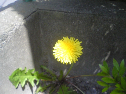 ozizo3526's profile picture. 中野区在住。三蔵法師。