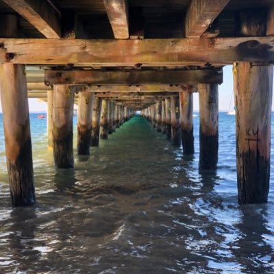 runsamarakoon's profile picture. 