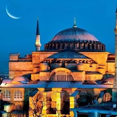 WettiZayed's profile picture. 